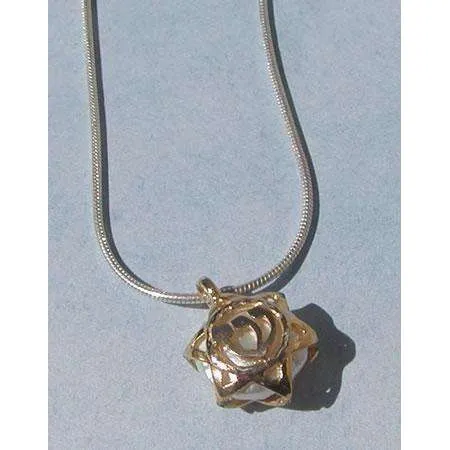 Michael Bromberg 14K Gold Hay/Shin Jewish Star Necklace With Pearl