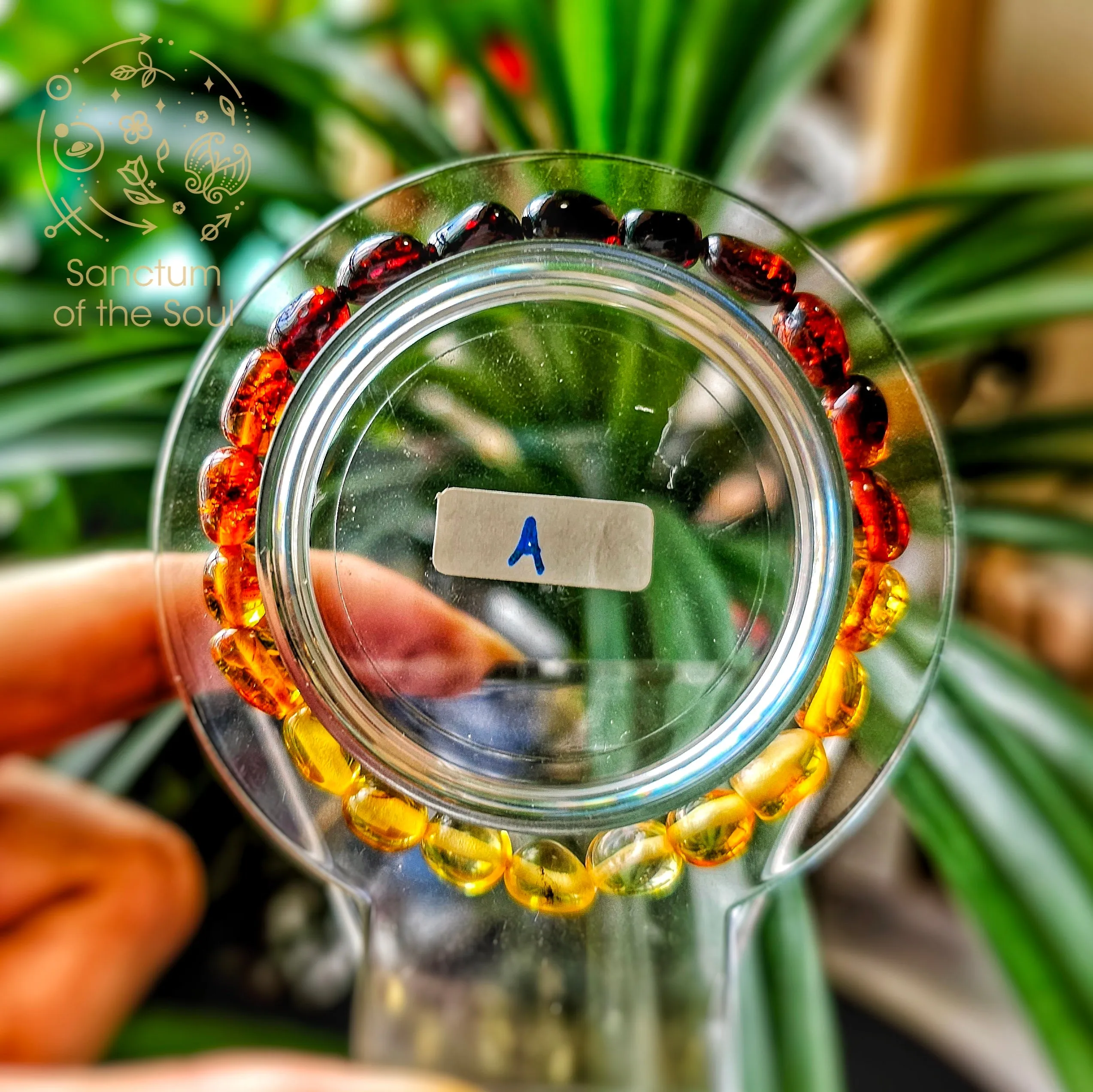 Ombre Baltic Amber Bracelet